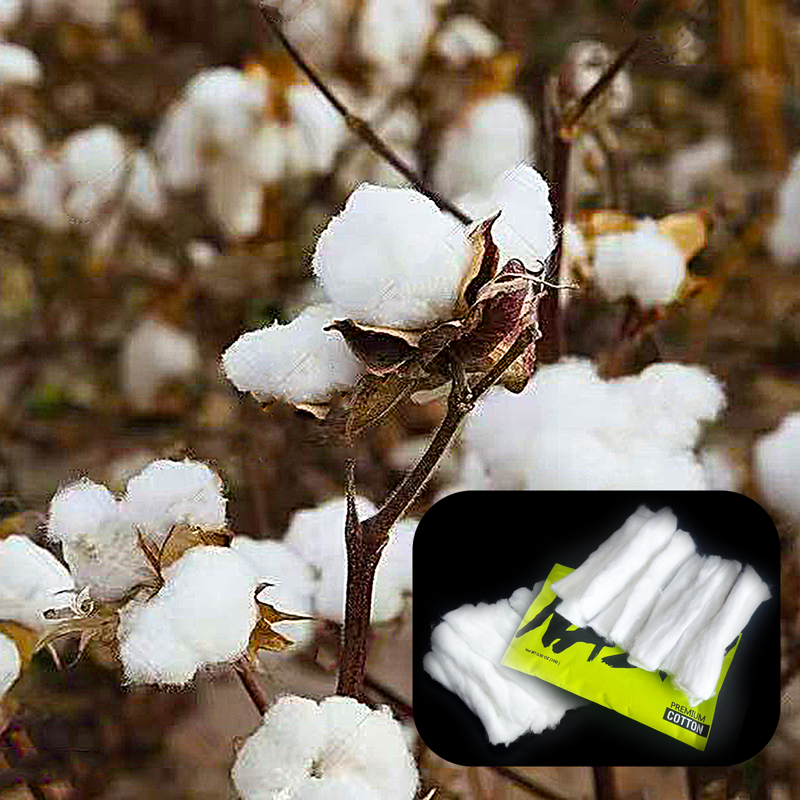 10/5/3Packs Home DIY Natural C – Cotton Wick Organic recenzja i cena