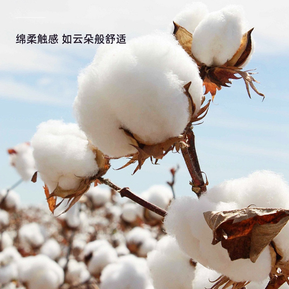5.0/3.0/2.5mm Rubber Head Orga – Cotton Wick Organic recenzja i cena